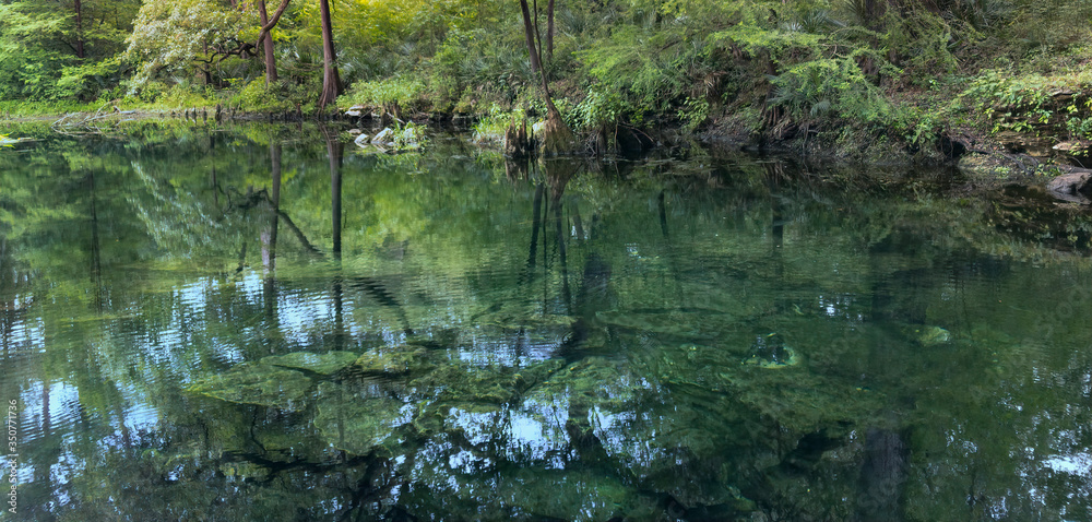 Wes Skiles Peacock Springs State Park, Florida - View of Peacock I Spring
Wes Skiles Peacock Springs State Park, Florida - View of Peacock I Spring