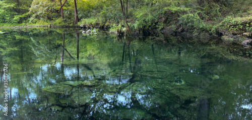 Wes Skiles Peacock Springs State Park, Florida - View of Peacock I Spring 