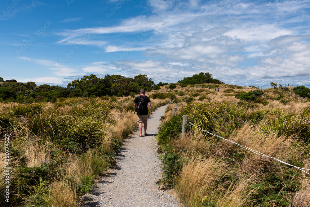 Stanley, Tasmania, Australia - February 10, 2020: A man hiking on top of the Nut in Stanley, Tasmania