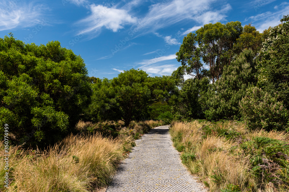 Hiking on top of the Nut in Stanley, Tasmania, Australia.