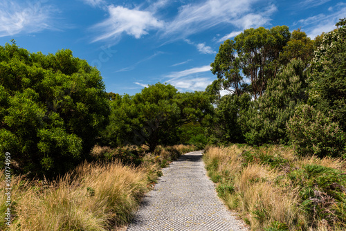 Hiking on top of the Nut in Stanley  Tasmania  Australia.