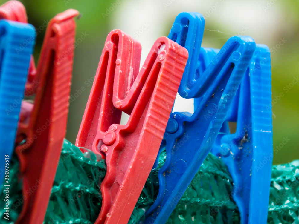 Plastic Laundry Peg Clothespin Closeup