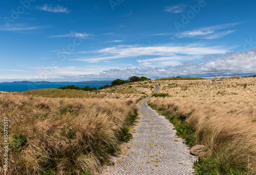 Hiking on top of the Nut in Stanley  Tasmania  Australia.