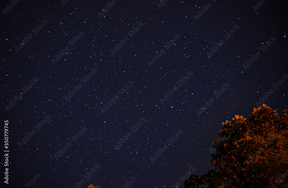 starry night sky starry night sky