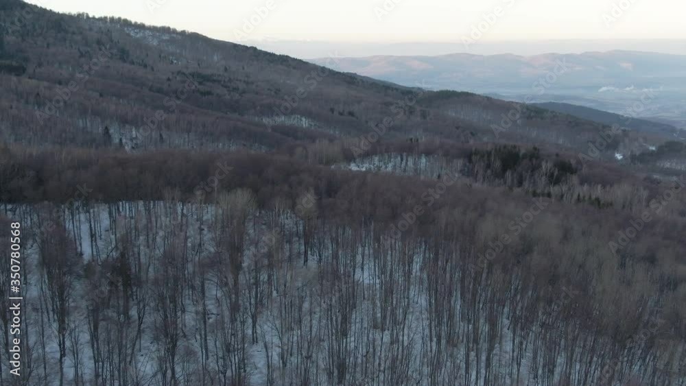 Snowy aerial view of forest Snowy aerial view of forest
