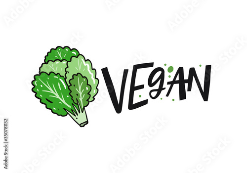 Lettuce vector illustration and vegan lettering. Isolated on white background.