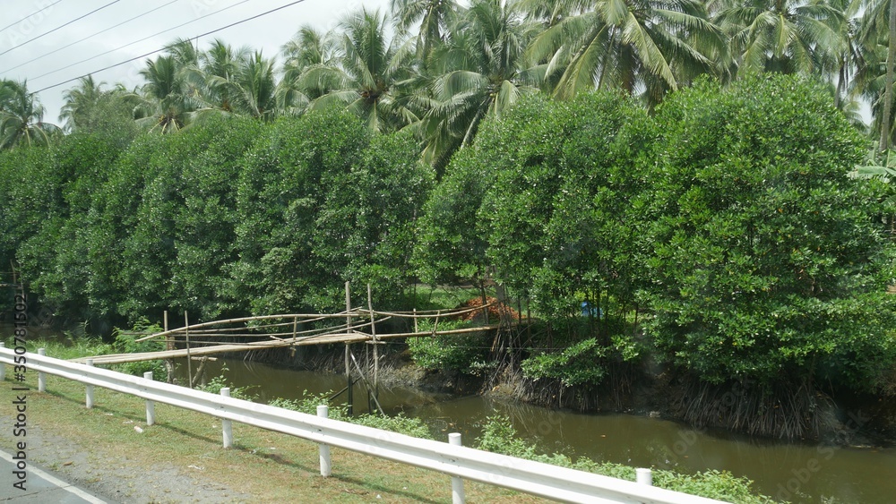 Murky irrigation water running along a national highway with a wooden hanging bridge in the Philippines. Murky irrigation water running along a national highway with a wooden hanging bridge in the Philippines.