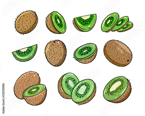 Different Kiwi set. Flat vector illustration. Cartoon style. Isolated on white background.