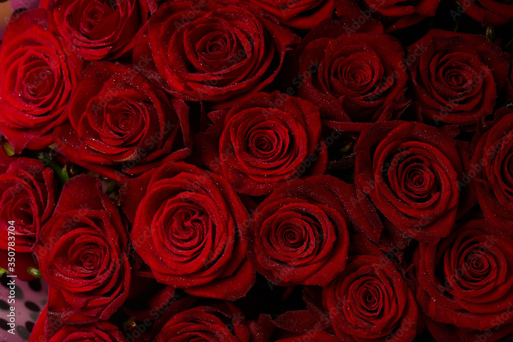 Red roses. Bouquet of flowers. Red roses. Bouquet of flowers.