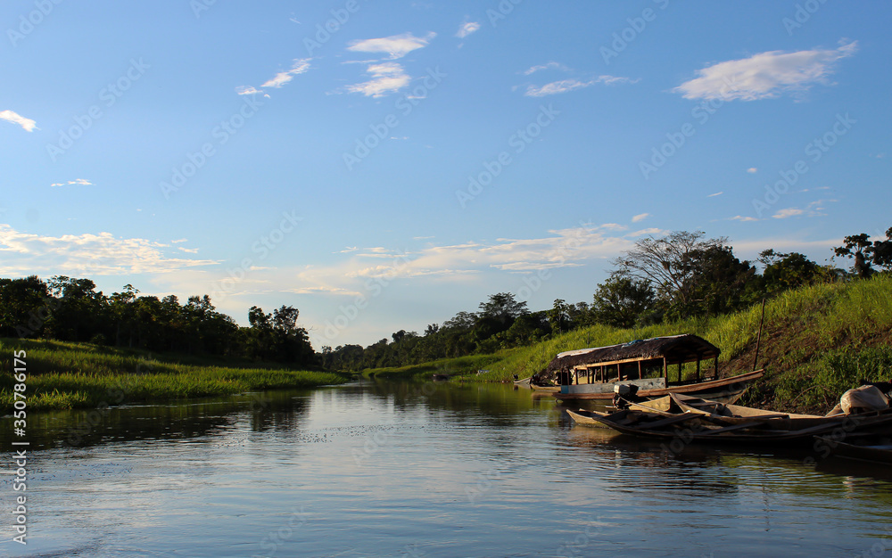 river in the amazon