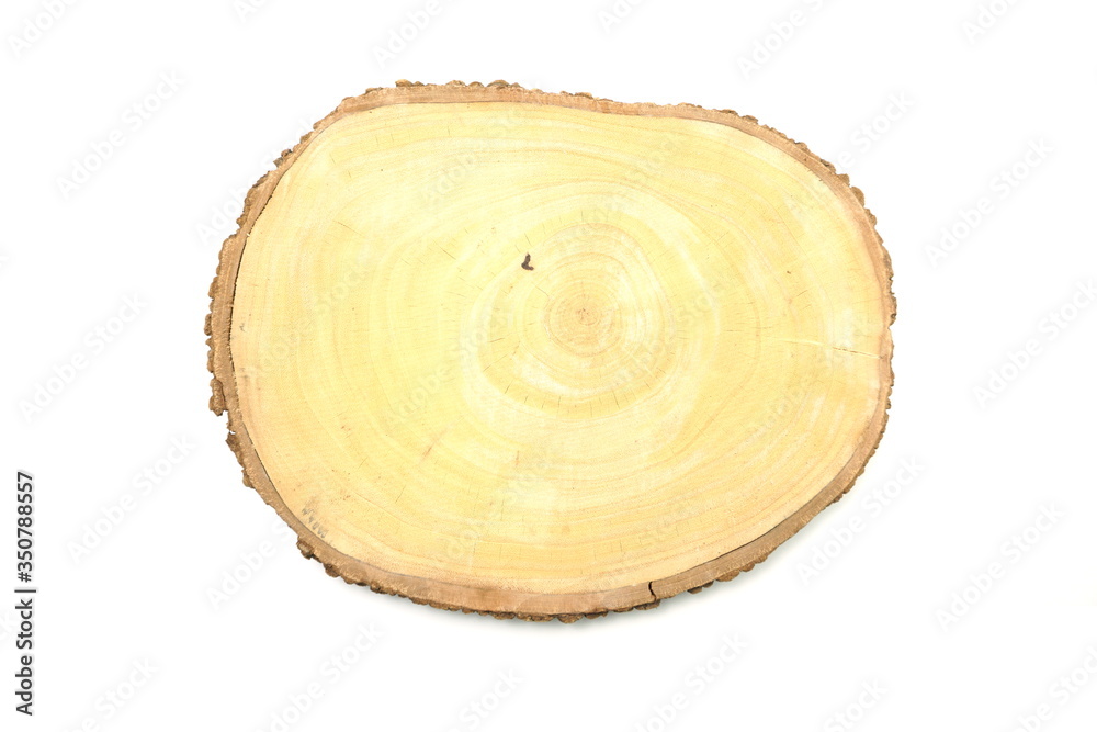 Tree trunk cross isolated on white background Tree trunk cross isolated on white background