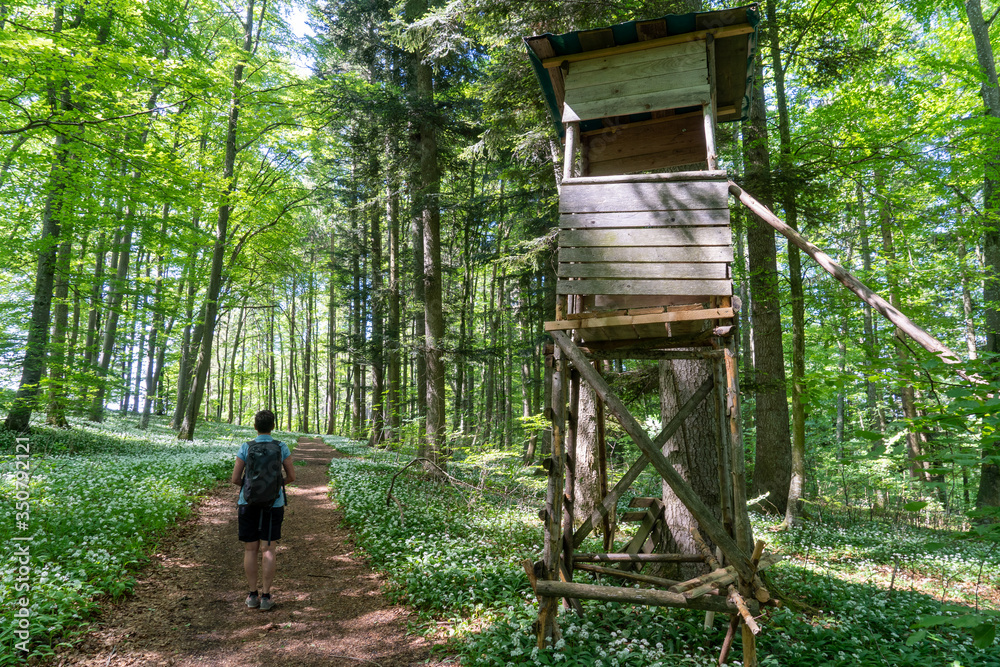 Wandern bei Öfingen Baden-Wüttemberg Deutschland Wandern bei Öfingen Baden-Wüttemberg Deutschland