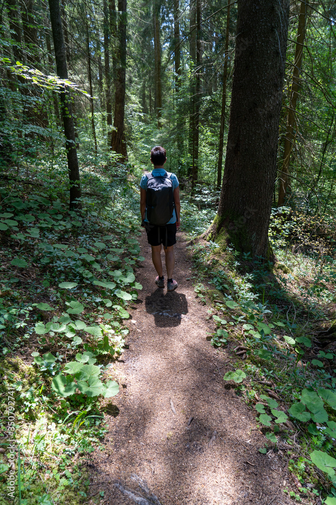 Wandern bei Öfingen Baden-Wüttemberg Deutschland Wandern bei Öfingen Baden-Wüttemberg Deutschland