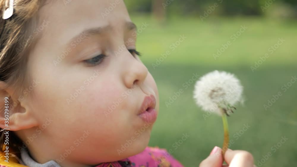 Faded dandelions die on a sunny day from the blows of a persistent girl. Faded dandelions die on a sunny day from the blows of a persistent girl.