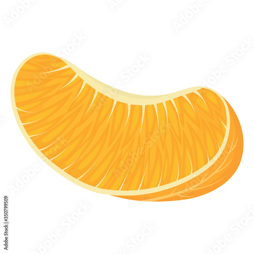 Fresh bright exotic slice tangerine or mandarin isolated on white background. Summer fruits for healthy lifestyle. Organic fruit. Cartoon style. Vector illustration for any design.