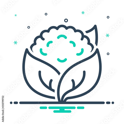 Mix icon for cauliflower