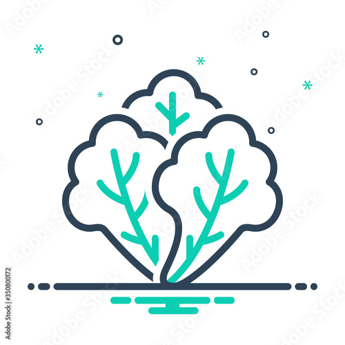Mix icon for lettuce