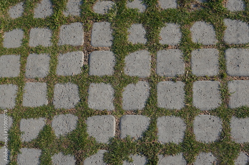 Textura suelo de baldosas y césped
