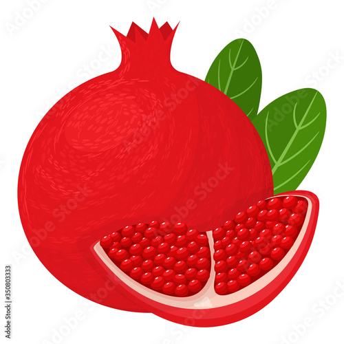 Fresh bright exotic whole and chunk pomegranate with leaves isolated on white background. Summer fruits for healthy lifestyle. Organic fruit. Cartoon style. Vector illustration for any design.