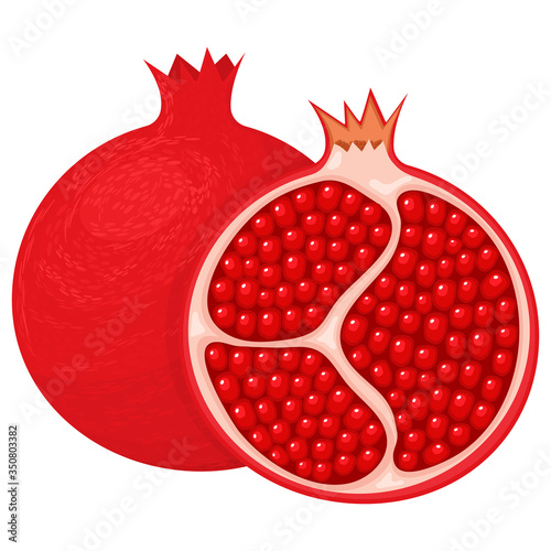 Fresh bright exotic whole and half pomegranate with leaves isolated on white background. Summer fruits for healthy lifestyle. Organic fruit. Cartoon style. Vector illustration for any design.