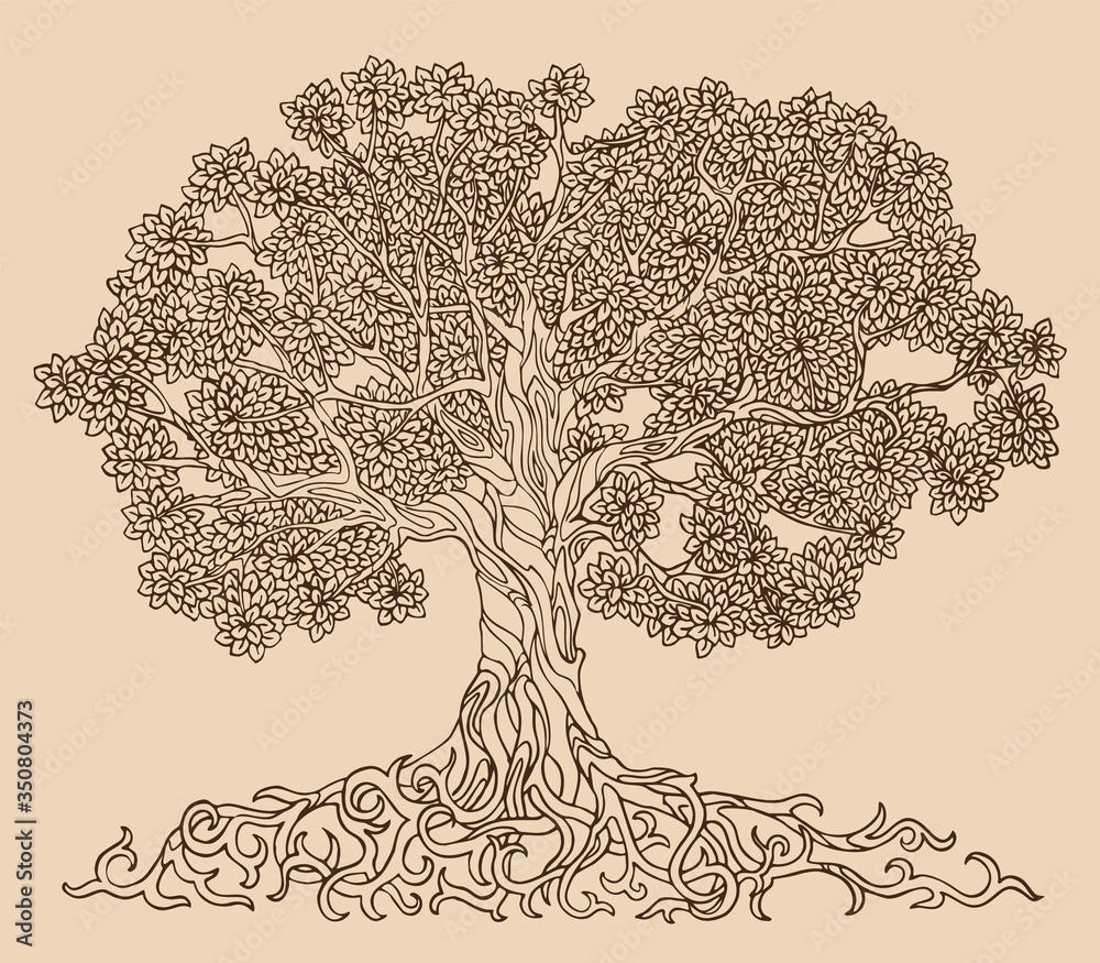Creating a Family Tree - PROSPER in PA-saigonsouth.com.vn