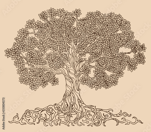 Lush tree drawing vector. A family tree with many leaves, branches and roots.