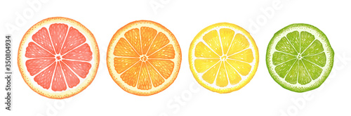 Watercolor citruses. Grapefruit, orange, lemon and lime.