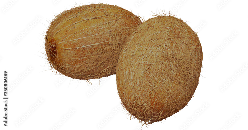 coconuts coconuts