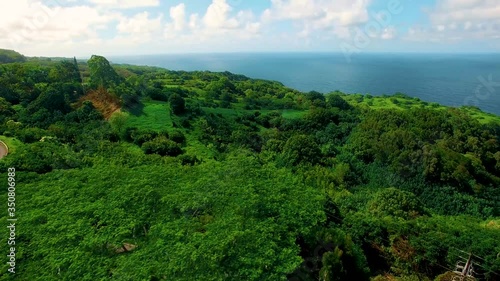 Aerial flyover of lush green trees and bright blue ocean on clear summer day in Mauai, Hawaii photo