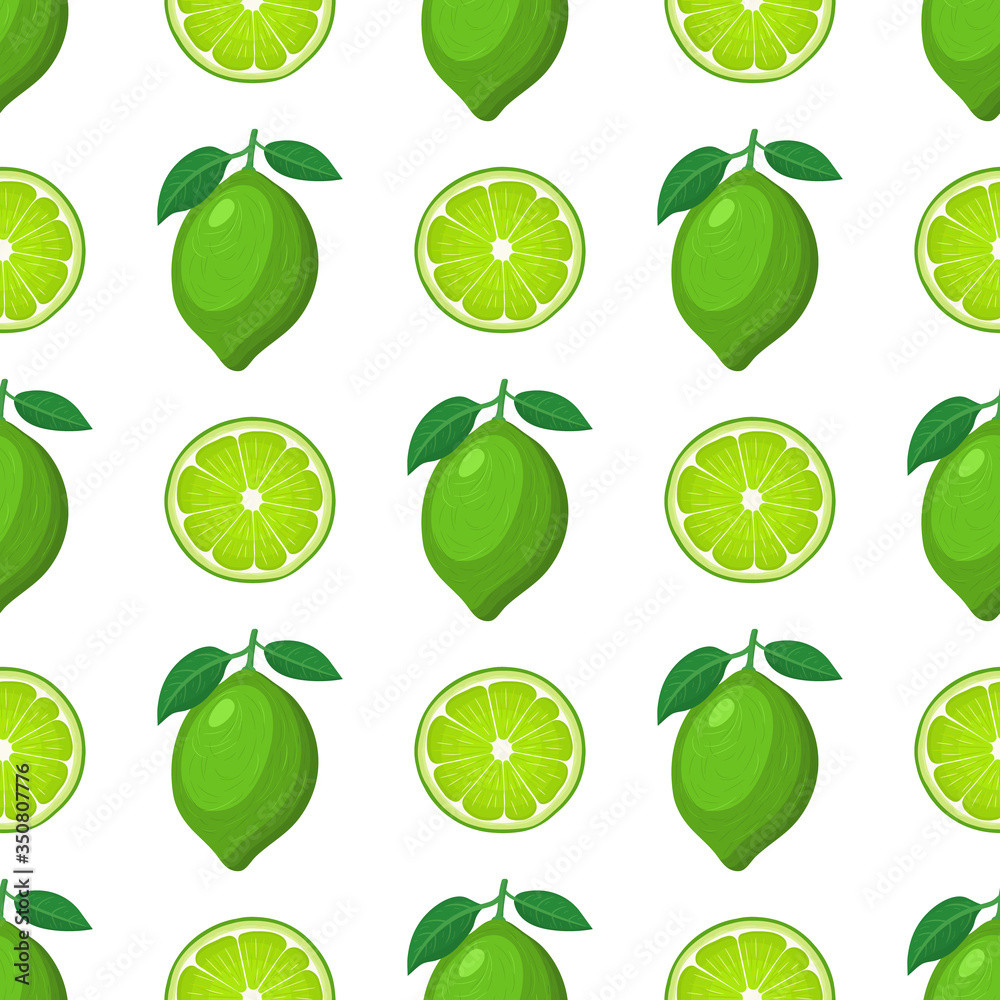 Seamless pattern with fresh bright exotic whole and half lime fruit on white background. Summer fruits for healthy lifestyle. Organic fruit. Cartoon style. Vector illustration for any design. Seamless pattern with fresh bright exotic whole and half lime fruit on white background. Summer fruits for healthy lifestyle. Organic fruit. Cartoon style. Vector illustration for any design.