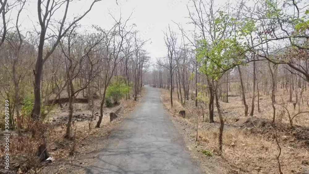 drone flying backwards through a dry forest over a road that goes to a village with white sky in the background drone flying backwards through a dry forest over a road that goes to a village with white sky in the background