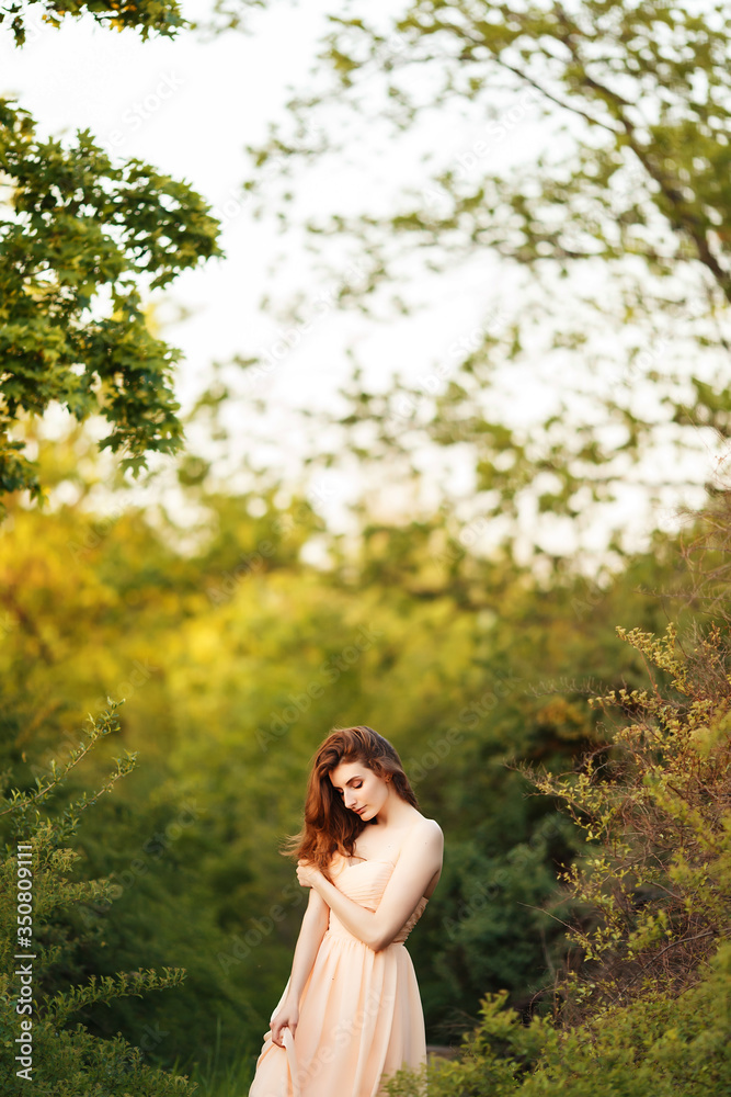 Fine Art Portrait of romantic female in dress Fine Art Portrait of romantic female in dress