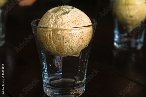 Whole fresh coconut fruit in a glass cup close up. A drink in Thailand