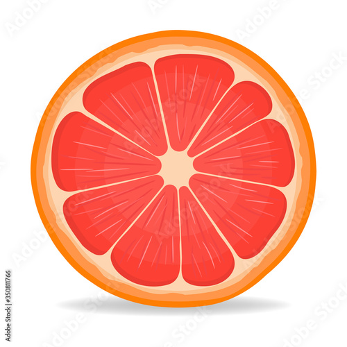 Fresh bright exotic half cut grapefruit isolated on white background. Summer fruits for healthy lifestyle. Organic fruit. Cartoon style. Vector illustration for any design.