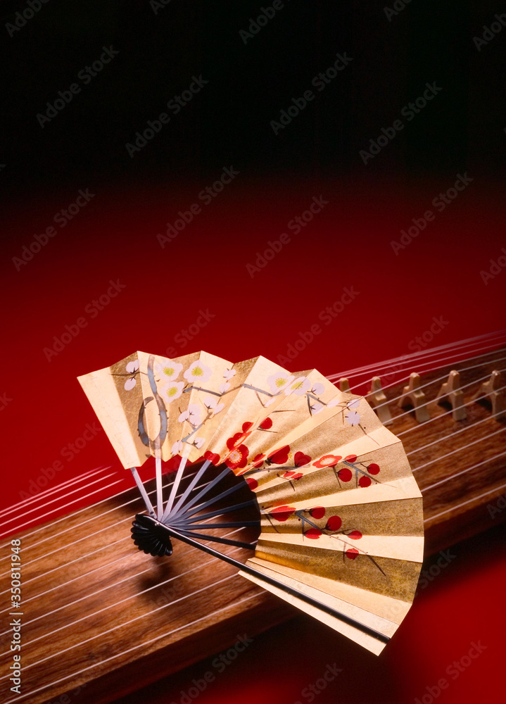 ノイズ フィルムグレイン 素材に 被写体を損なう色度 輝度 鮮鋭のノイズ またはフィルムグレインがあります Stock Photo Adobe Stock ノイズ フィルムグレイン 素材に 被写体を損なう色度 輝度 鮮鋭のノイズ またはフィルムグレインがあります Stock Photo Adobe Stock