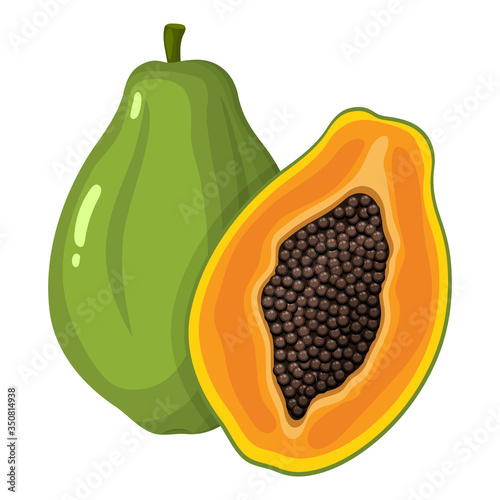 Fresh bright exotic whole and half papaya fruit isolated on white background. Summer fruits for healthy lifestyle. Organic fruit. Cartoon style. Vector illustration for any design.