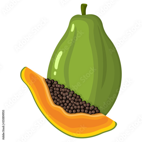 Fresh bright exotic whole and cut slice papaya fruit isolated on white background. Summer fruits for healthy lifestyle. Organic fruit. Cartoon style. Vector illustration for any design.