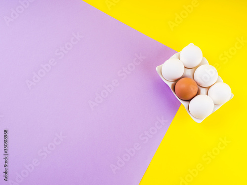 Obraz na plátně White and one brown egg on yellow and purple split duotone background