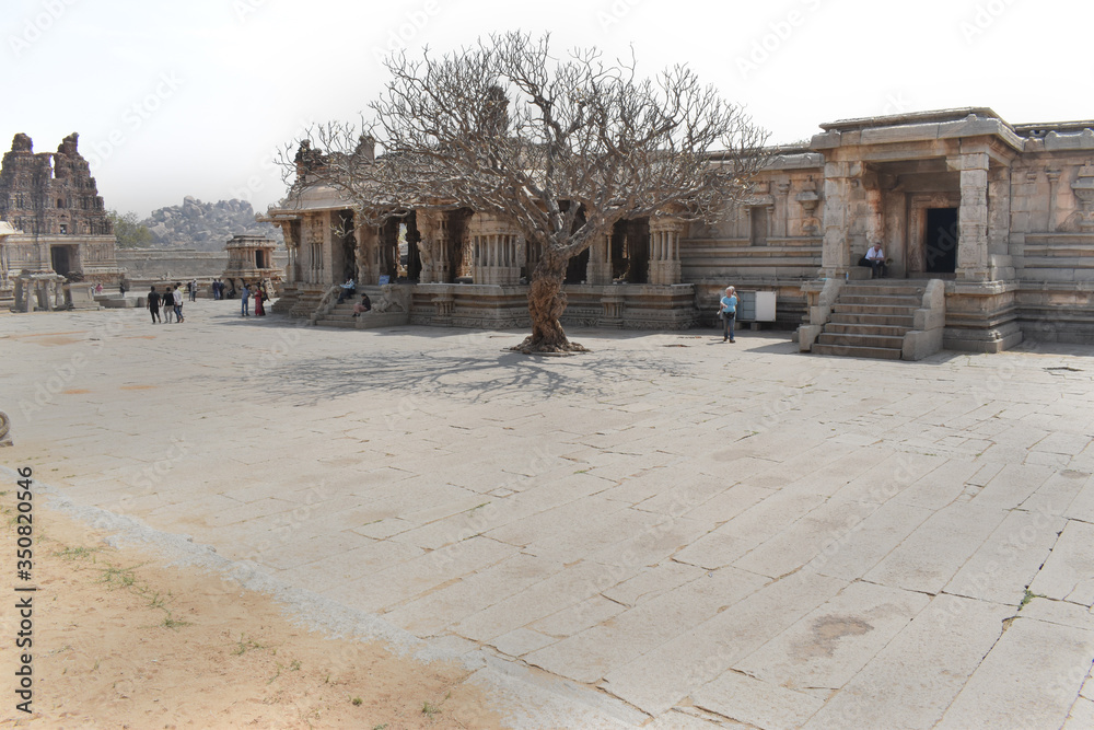 Fototapeta premium Vijaya Vitthala Temple with tree and its shadow in the middle, Hampi,Karnataka clicked by Deep S. Nahar