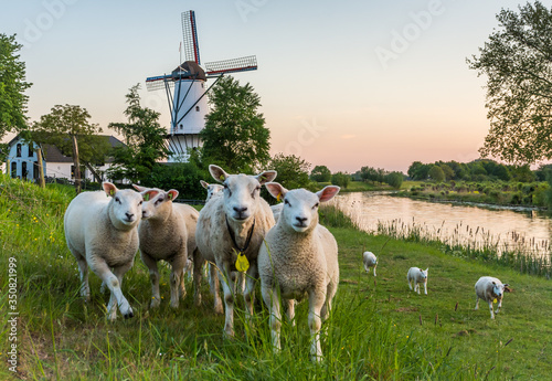 Scenery with a traditional dutch windmill called 