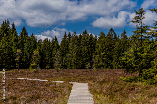 Wandern an verschiedenen Orten durch den Thüringer Wald - Thüringer Wald / Deutschland photo