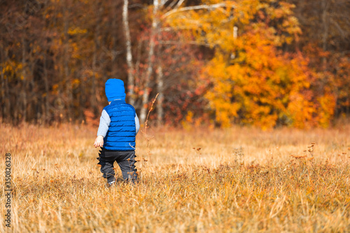 Toddler boy in a blue hat and blue vest on a background of bright orange forest in autumn.