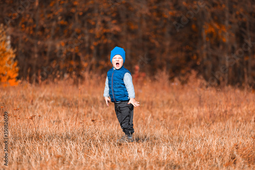 Toddler boy in a blue hat and blue vest on a background of bright orange forest in autumn. © LALSSTOCK
