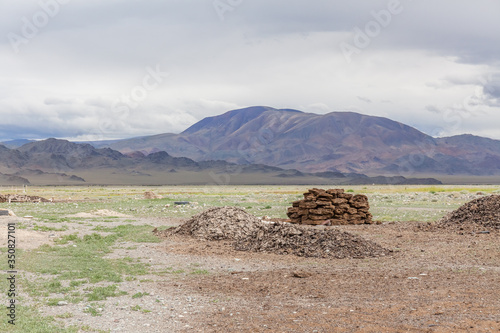 Pyramid from manure is a traditional way to procure fuel for the winter