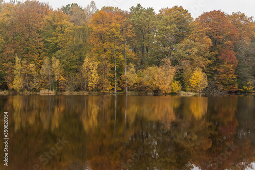 Fototapeta Naklejka Na Ścianę i Meble -  Small forest lake on a sunny autumn morning in Soderasen national park, Sweden.