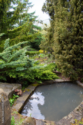 Alpine slide in landscape design. Alpine plants and bushes in the Lodz Botanical Garden.