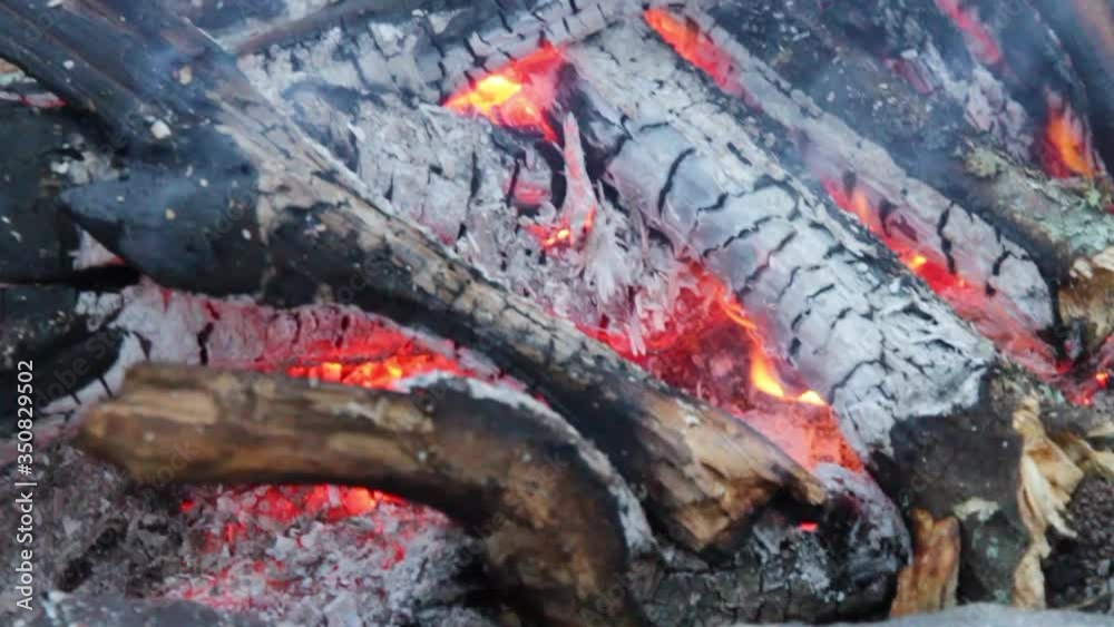 Slow motion, Close up view of glowing flying fire flame from hot bonfire charcoal Slow motion, Close up view of glowing flying fire flame from hot bonfire charcoal