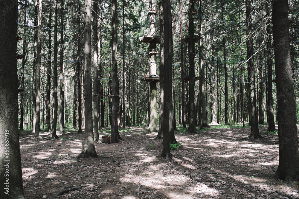 .Rope park in pine wood forest. Active life style. Obstacles concept .Rope park in pine wood forest. Active life style. Obstacles concept