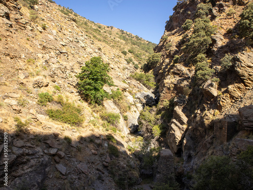 mountain landscape with trees in Sierra Nevada (Spain) 
