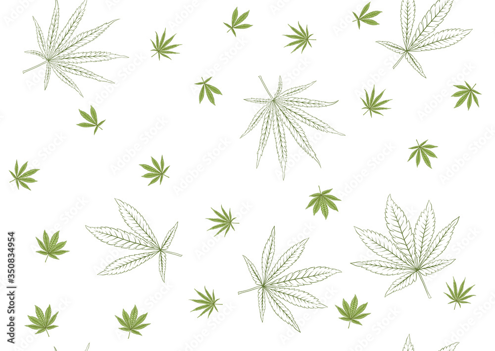 Cannabis leaves seamless pattern, background. Vector illustration in green colors Isolated on white background.